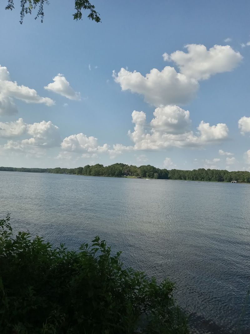 Calm Scenery and Easy Tranquility Calm Scenery and Easy Tranquility