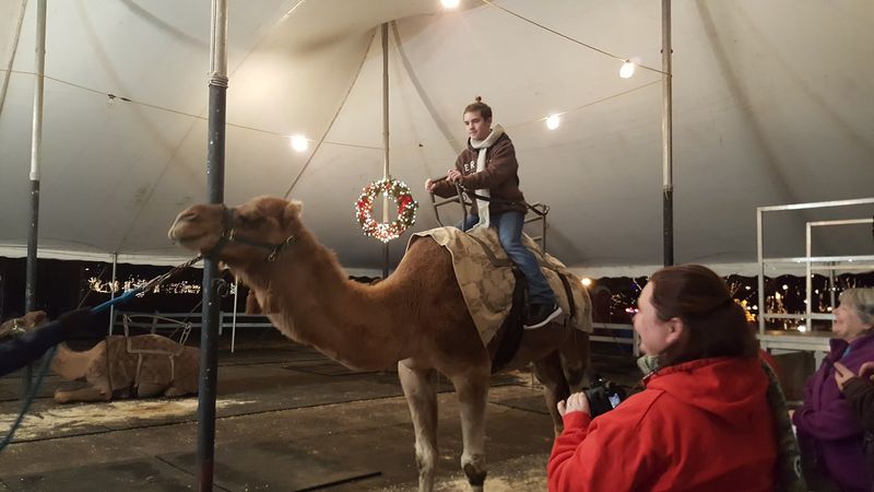 Camels, Carriages, and a Petting Zoo