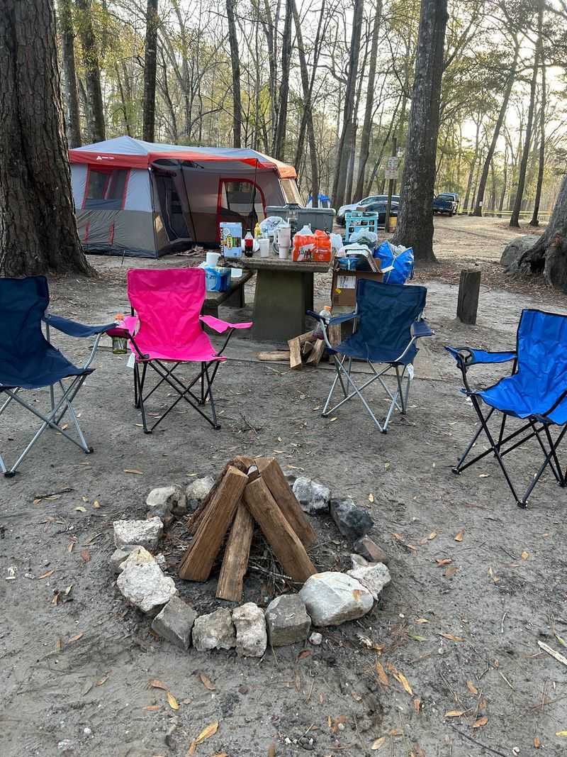 Camping Under the Pines Camping Under the Pines