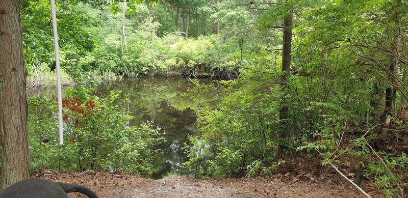 Camping With a Site-Specific Plan