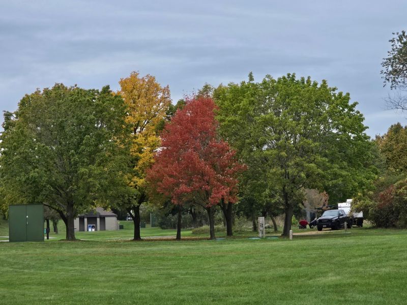 Campsites With Real Breathing Room Campsites With Real Breathing Room