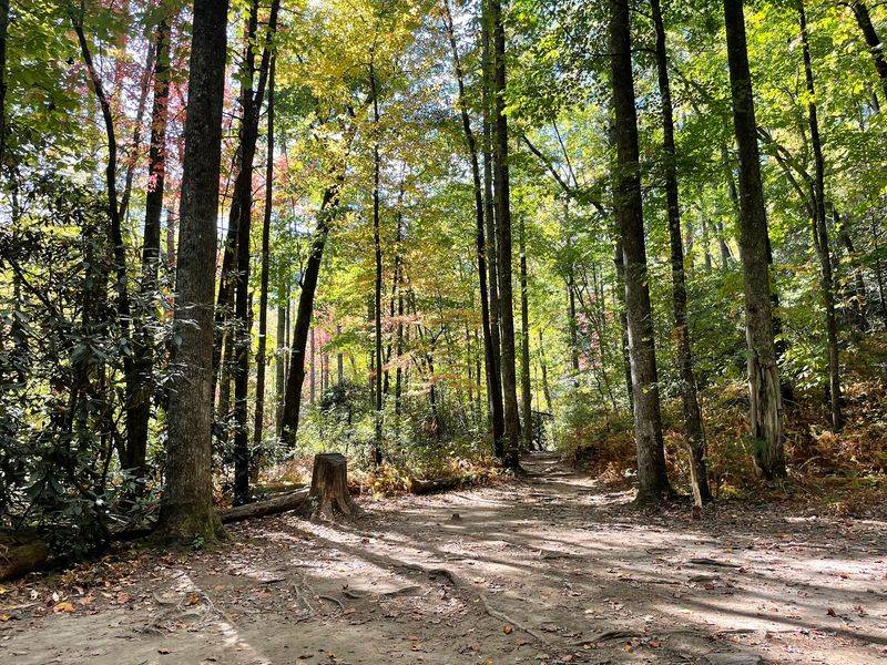 Campsites With Room to Breathe