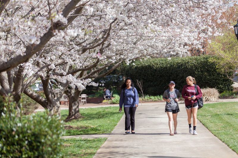 Campus Tours Led by Students