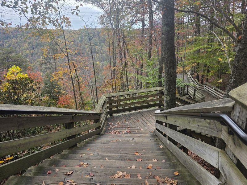 Canyon Rim Boardwalk, Lansing, West Virginia