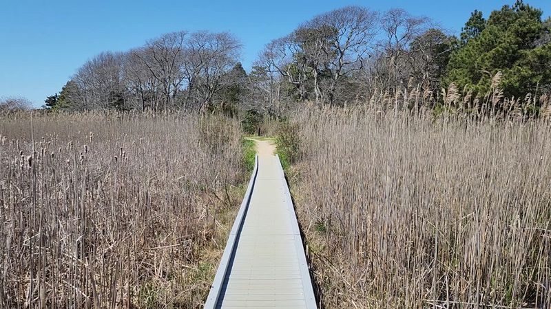 Cape May Point State Park, Cape May Point, NJ