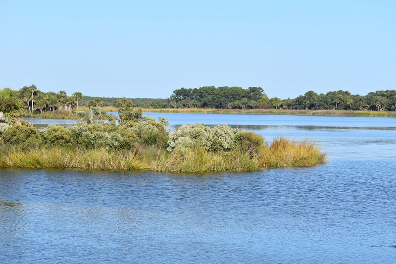 Cape Romain and a Wild Refuge Setting