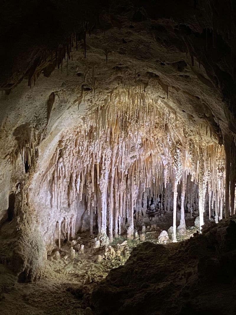 Carlsbad Caverns National Park, New Mexico Carlsbad Caverns National Park, New Mexico
