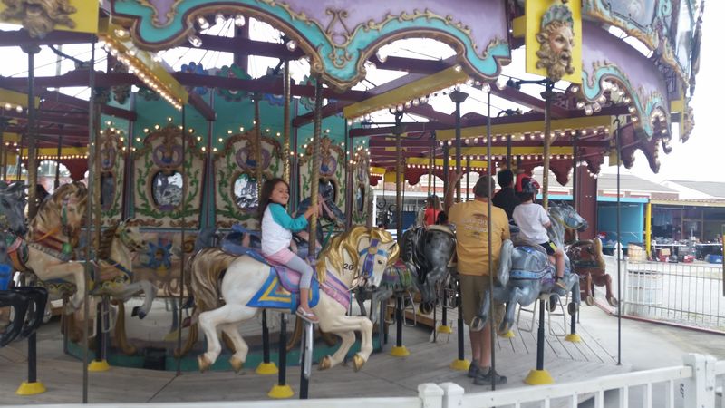 Carousel Rides and Bumper Car Fun
