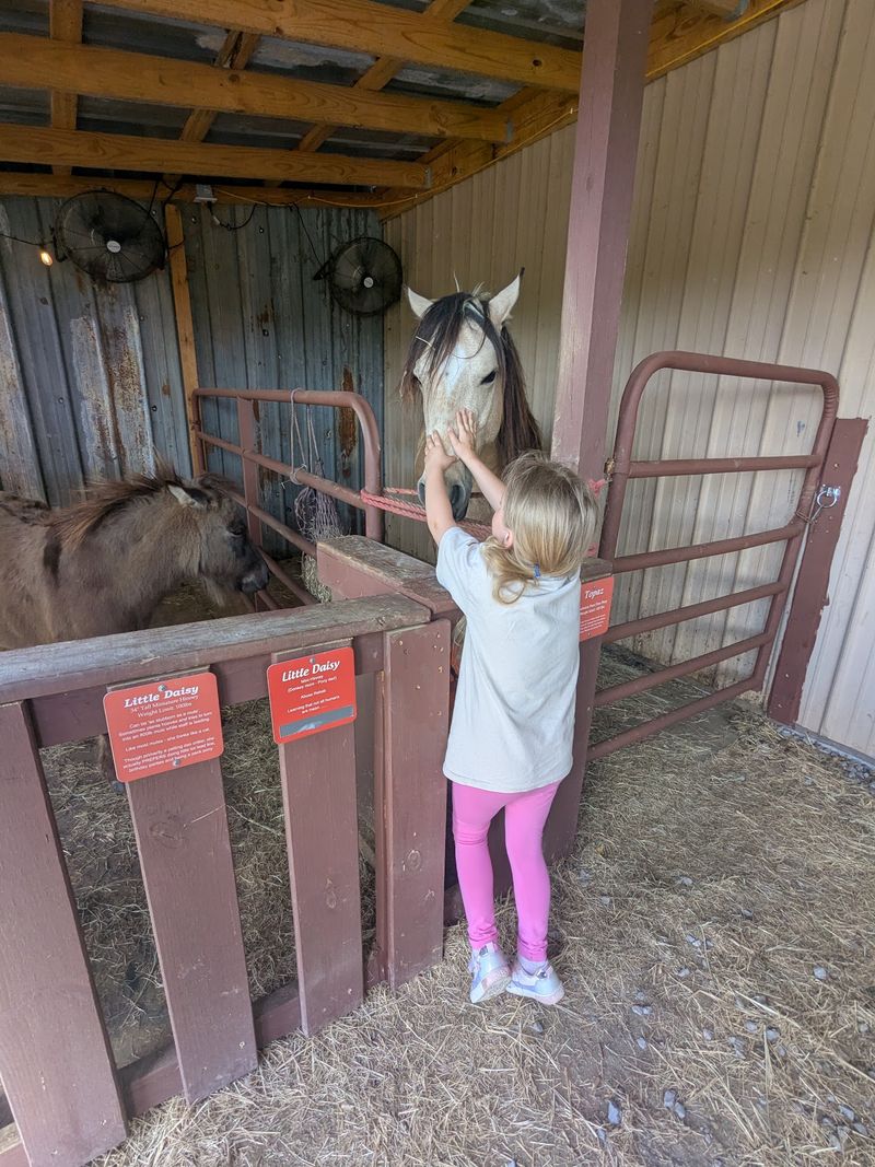 Carrots After the Ride