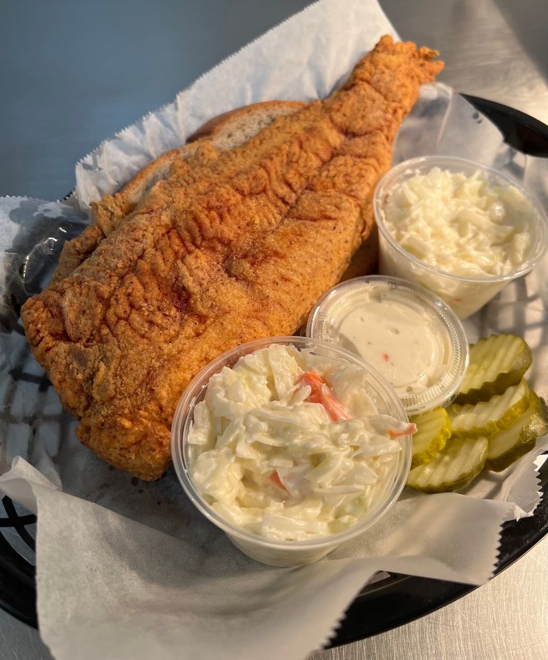 Catfish That Steals the Spotlight Catfish That Steals the Spotlight