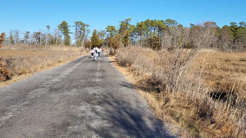 Cattus Island County Park, Toms River, NJ