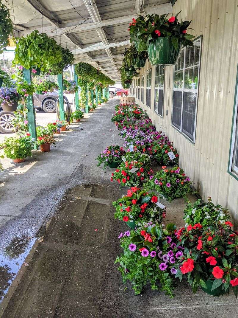 Cayce Farmer's Market, Cayce, SC