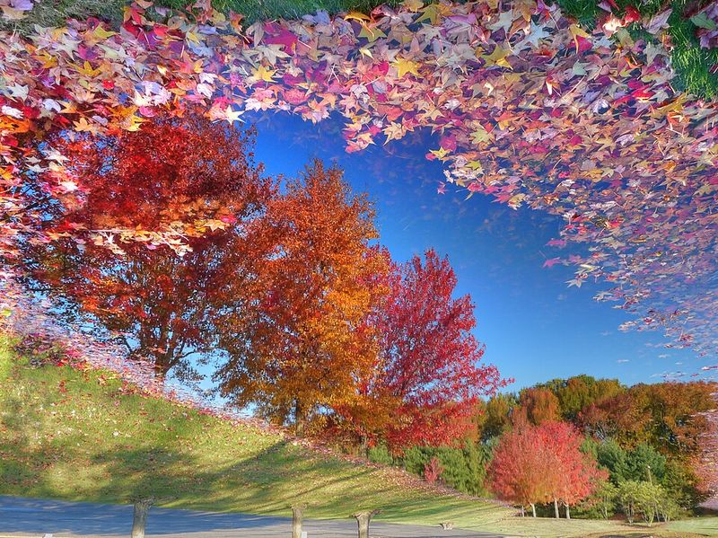 Celebrating the Change of Seasons Celebrating the Change of Seasons