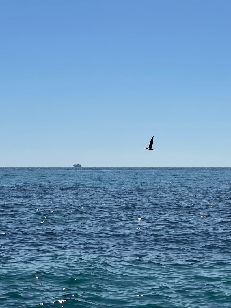 Central Caribbean Sea