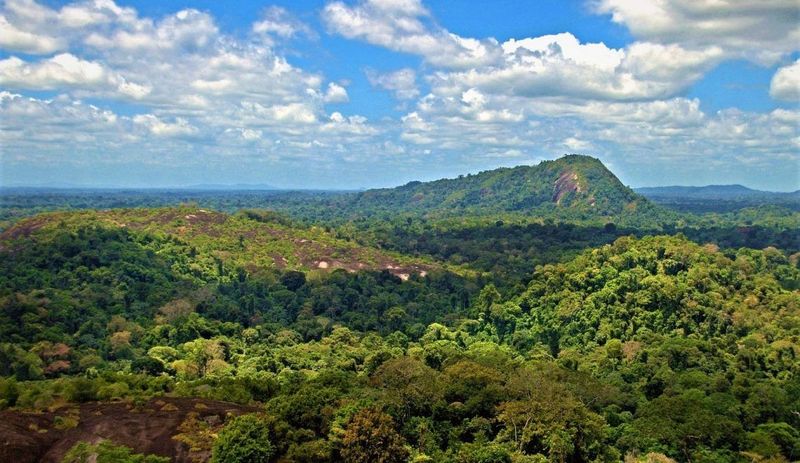 Central Suriname Nature Reserve Central Suriname Nature Reserve