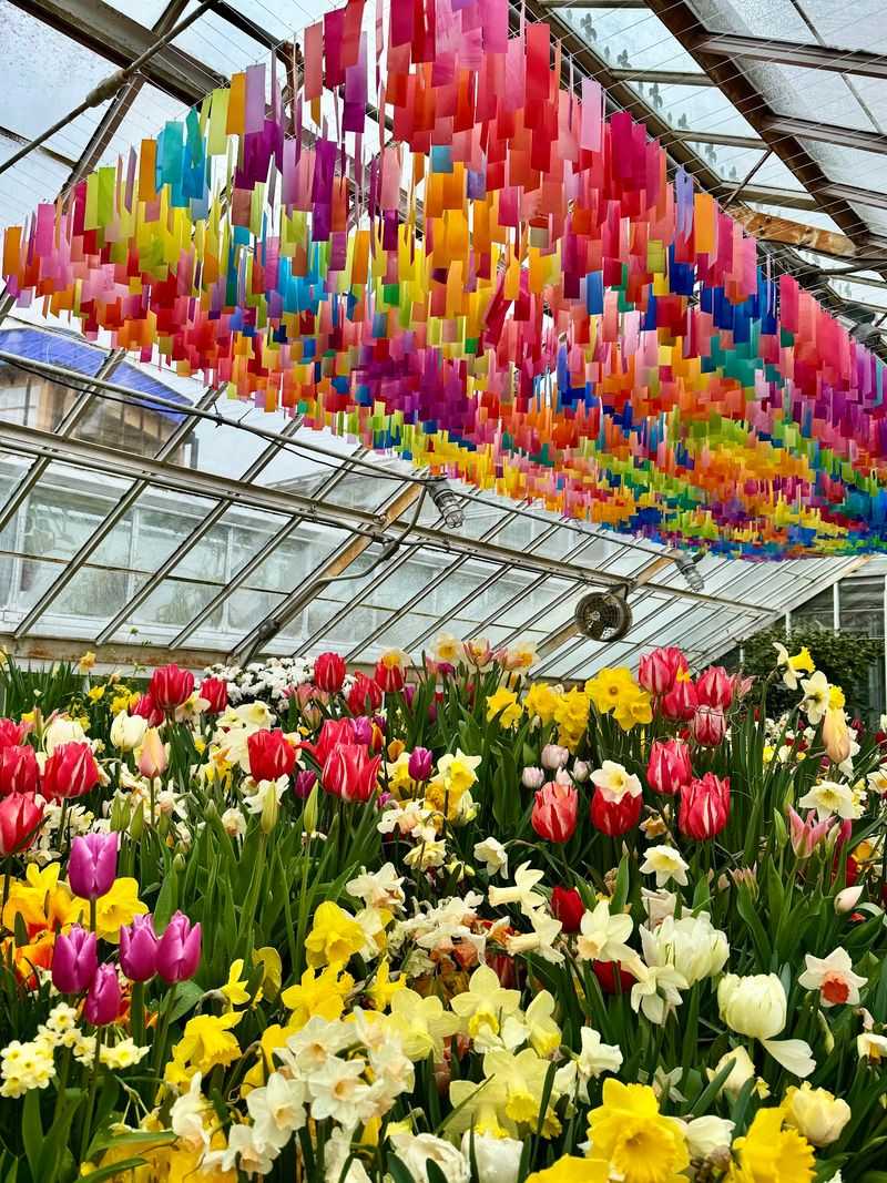 Changing Displays Through the Year