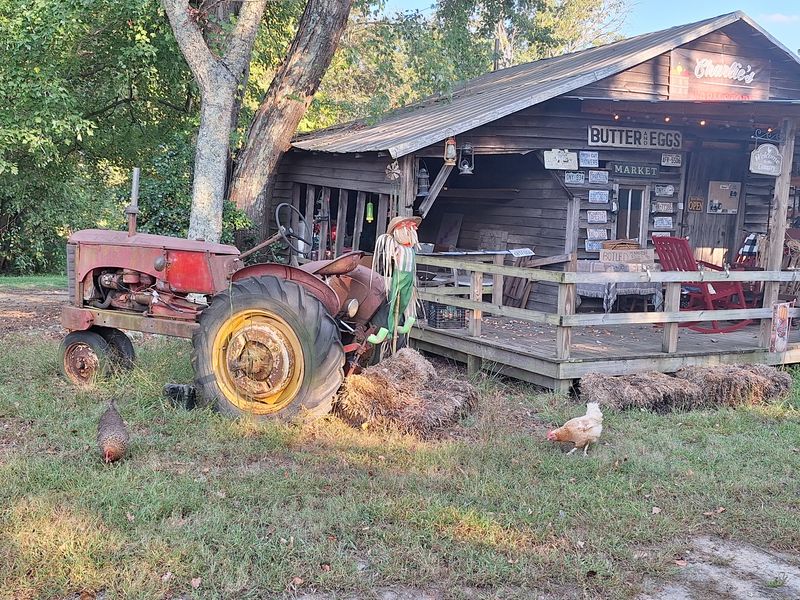 Charlie's Farm Store Shelves
