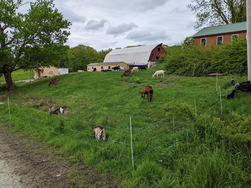 Chase Hill Farm