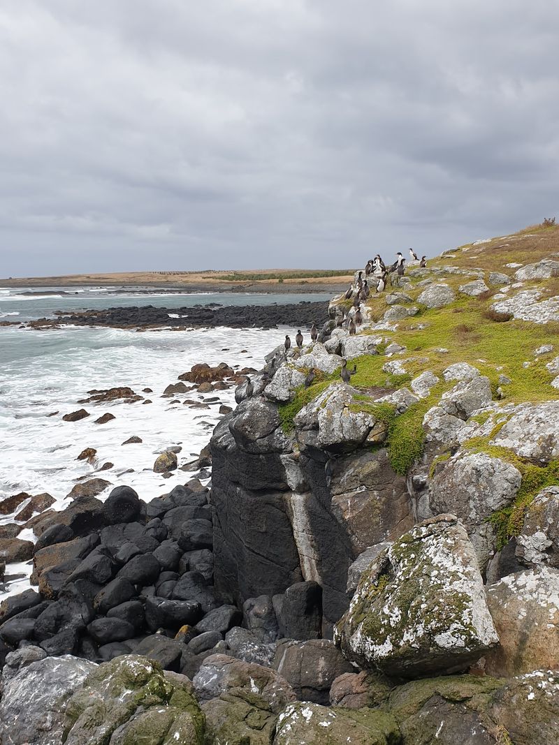 Chatham Islands, New Zealand Chatham Islands, New Zealand