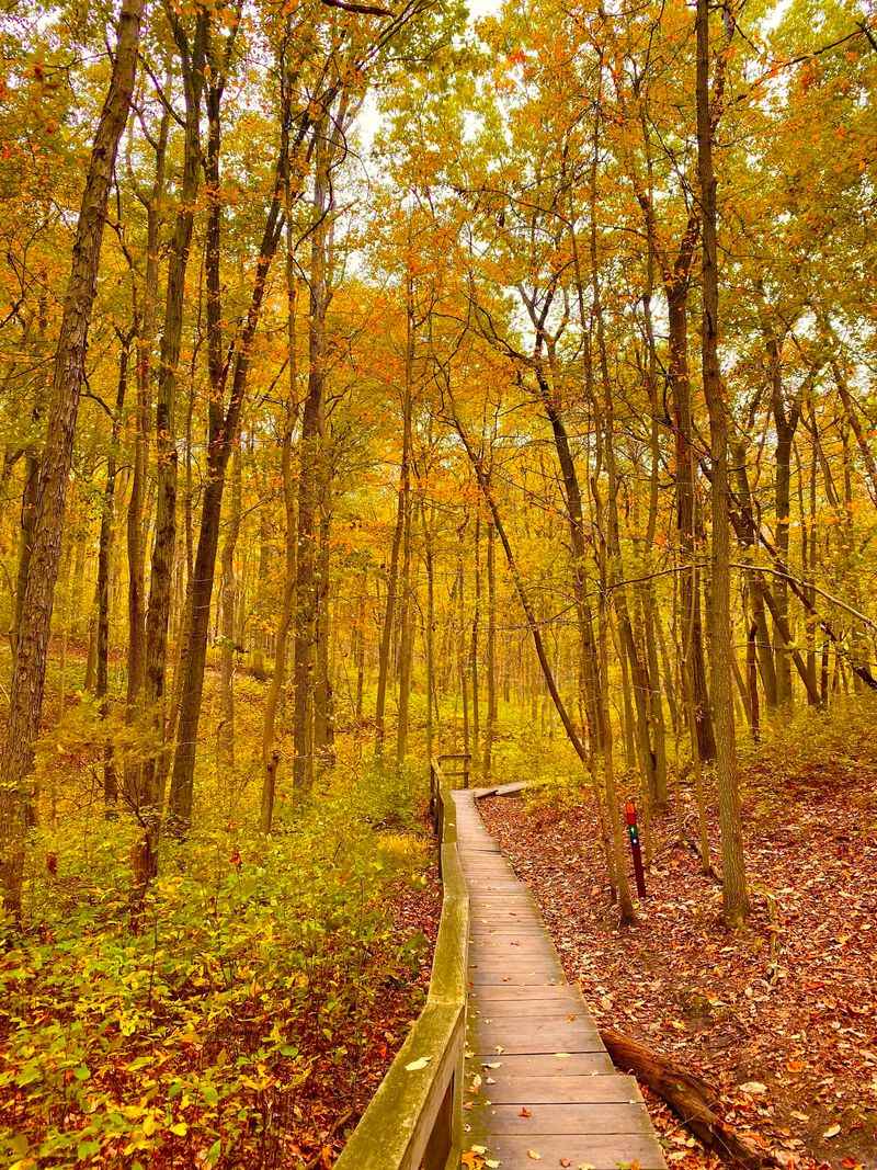 Cheesequake State Park, Matawan, NJ
