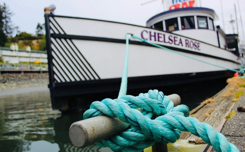 Chelsea Rose Seafood, Newport, OR Chelsea Rose Seafood, Newport, OR