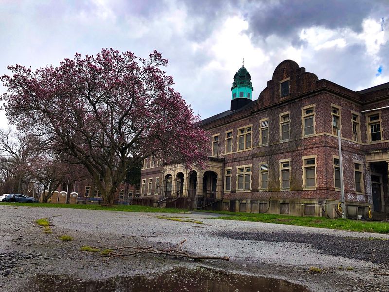 Cherry Blossoms, Paracon, and Off-Season Fun Cherry Blossoms, Paracon, and Off-Season Fun