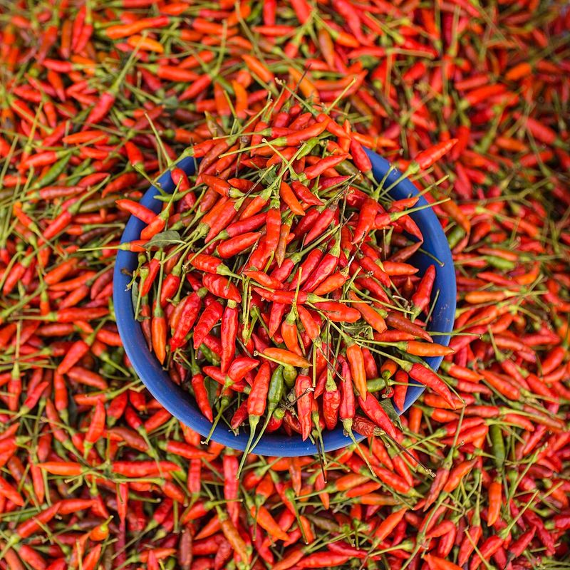 Chili Peppers