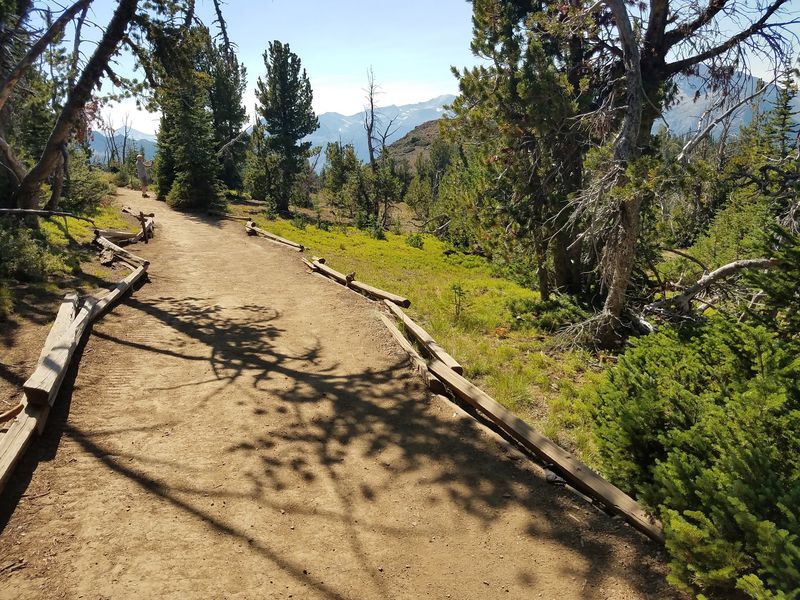 Chipmunks, Marmots, and Other Locals Chipmunks, Marmots, and Other Locals