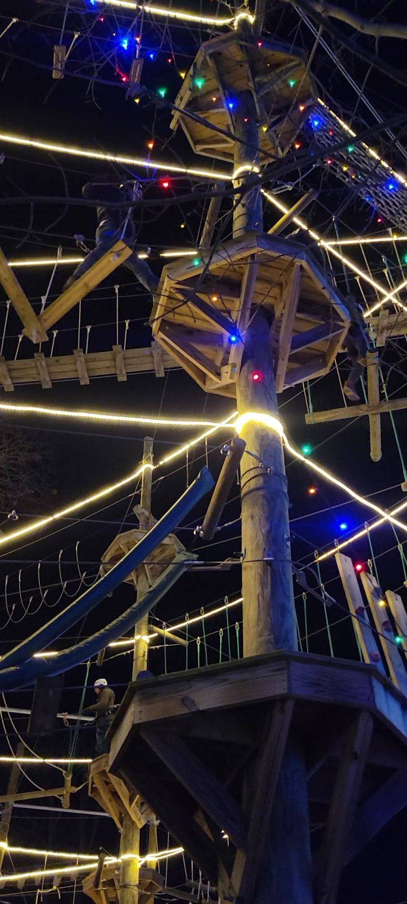 Christmas Lights and Fall Colors