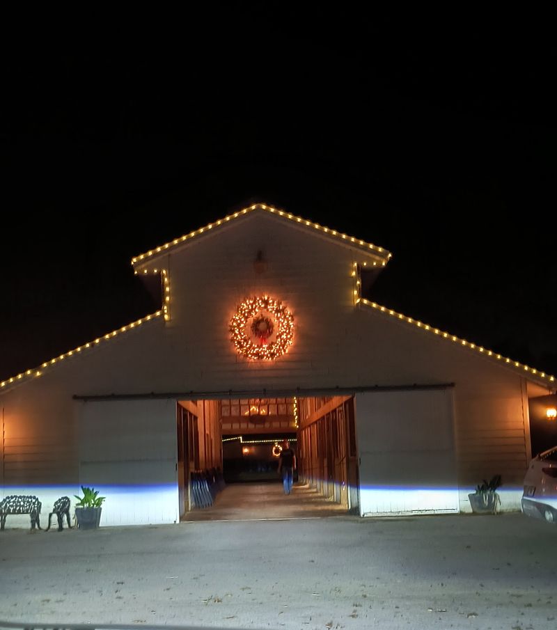 Christmas Lights and Holiday Tours