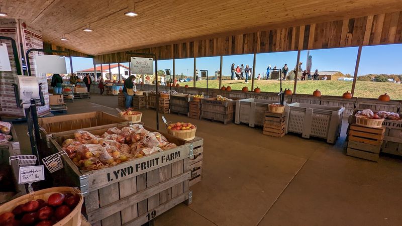 Cider, Donuts, and Other Fall Snacks