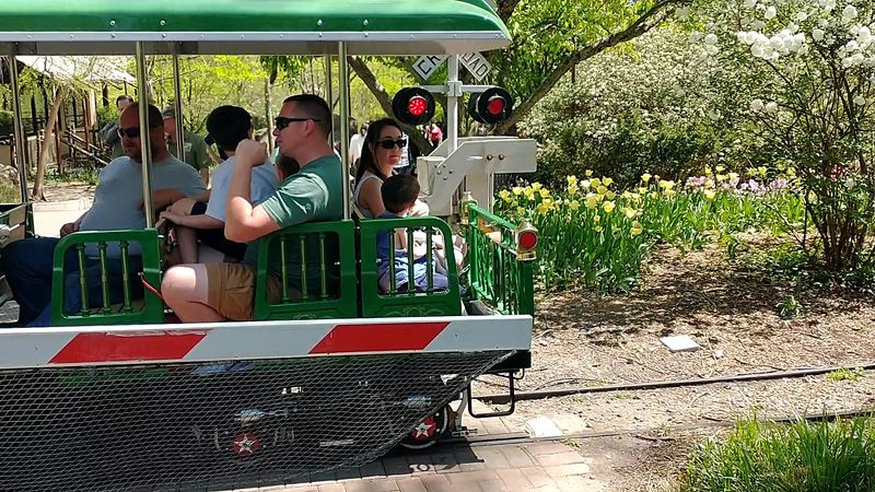 Cincinnati Zoo Train