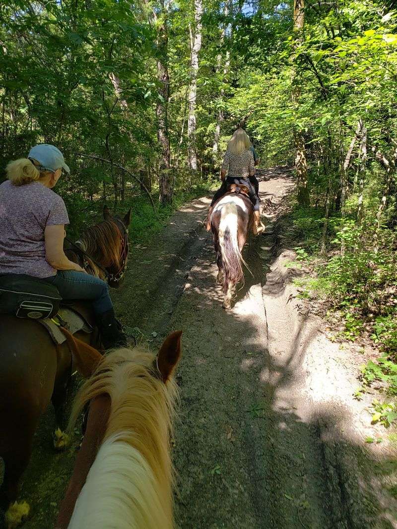 Circle E Guest Ranch, Belvidere, TN Circle E Guest Ranch, Belvidere, TN