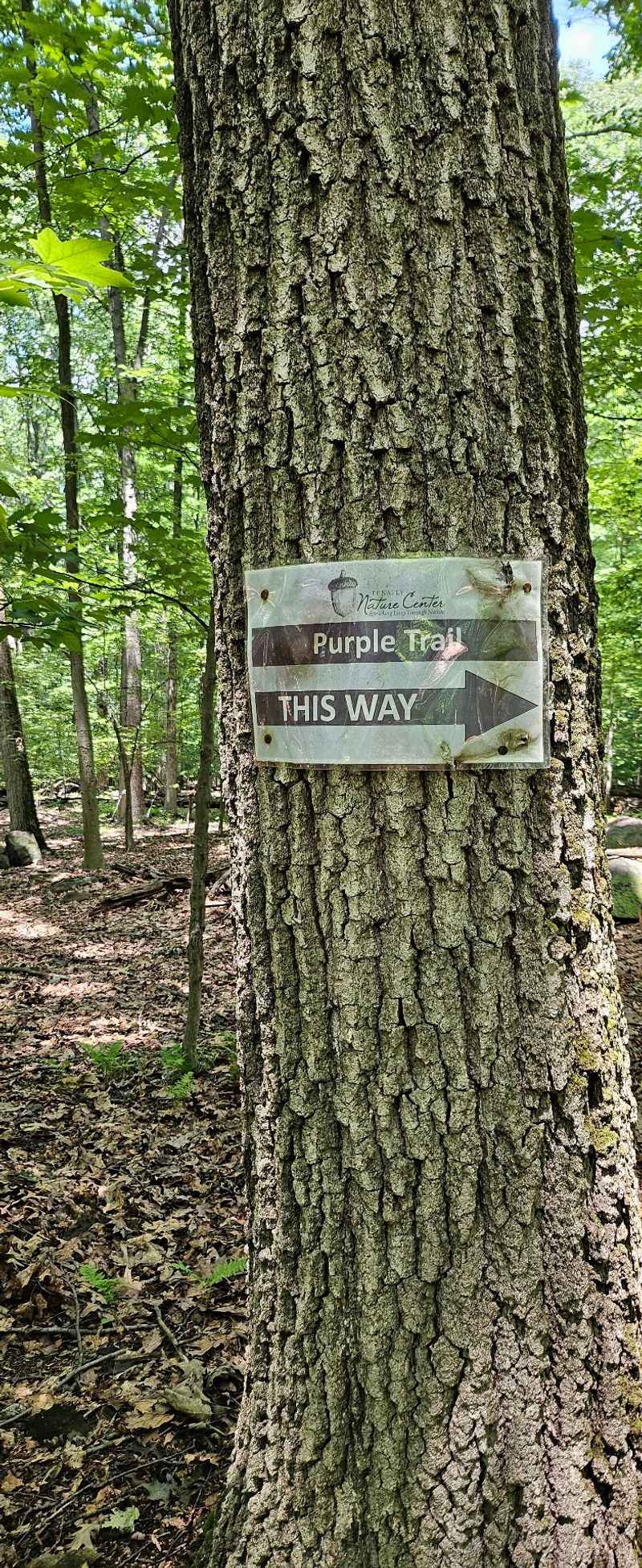 Clearly Marked Paths