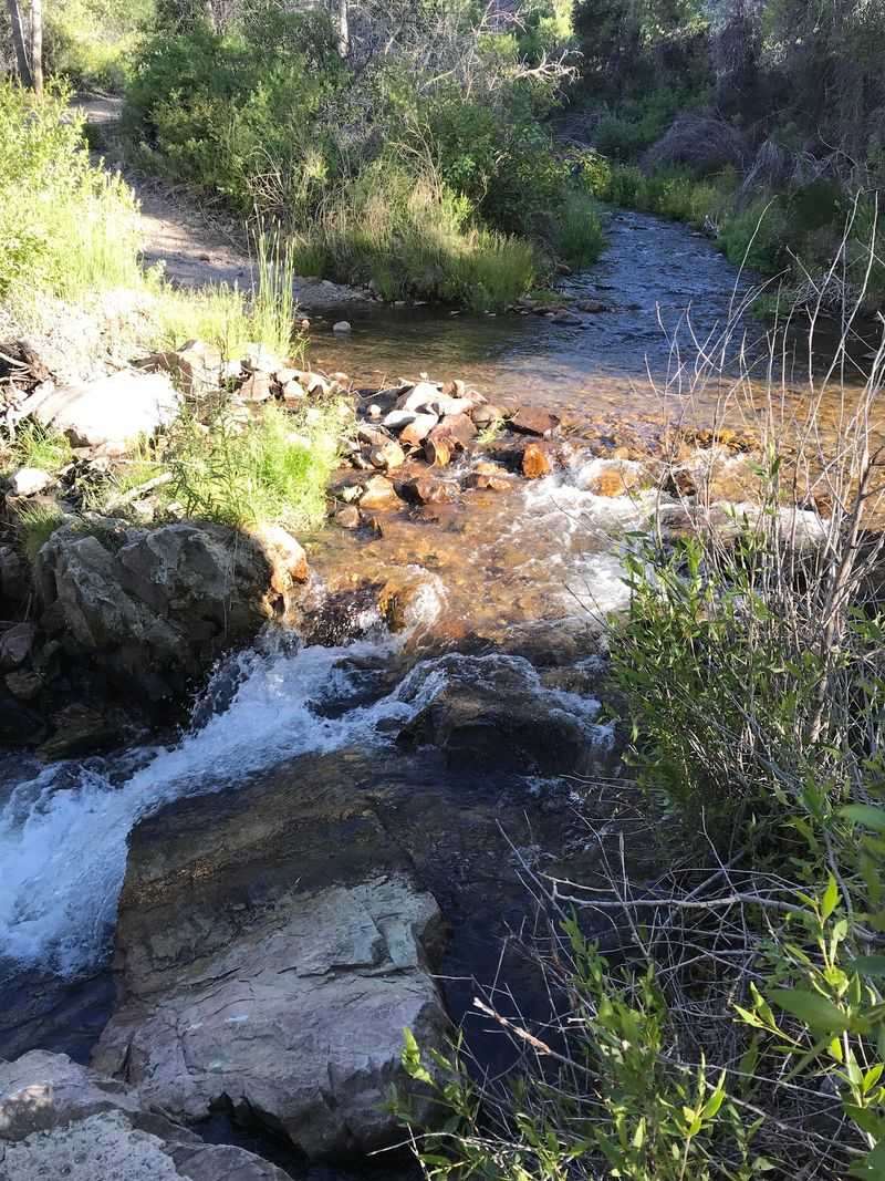 Cleve Creek Campground - Ely area