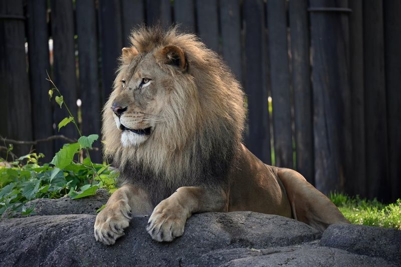 Cleveland Metroparks Zoo Cleveland Metroparks Zoo