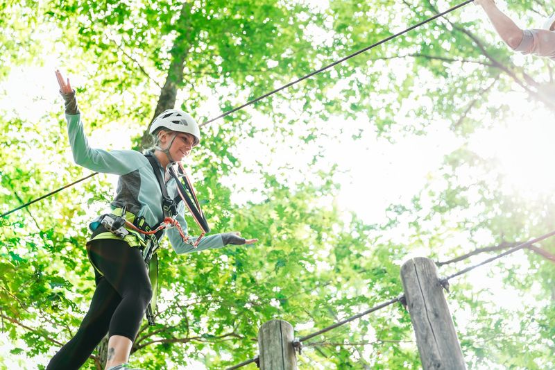 Climbing Through the Treetops Climbing Through the Treetops