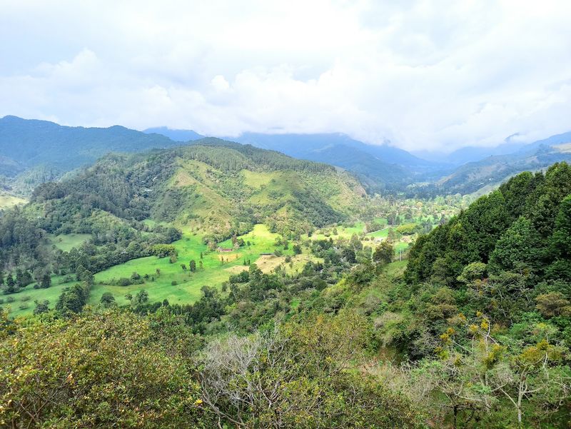 Coffee Farm Tours Coffee Farm Tours