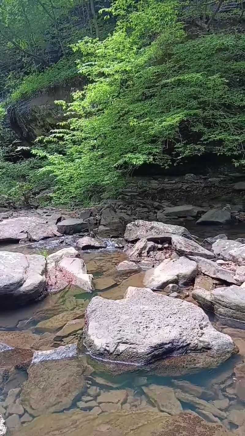 Color-Coded Trails and Creek Crossings