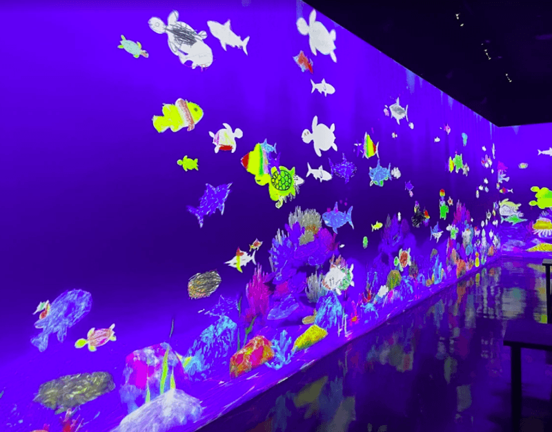 Color a Fish and Watch It Swim Color a Fish and Watch It Swim