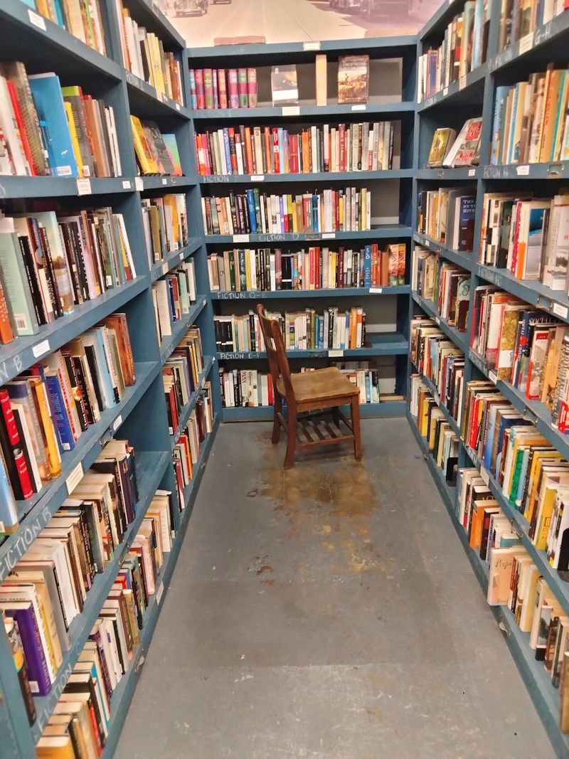 Comfy Chairs for Every Kind of Reader Comfy Chairs for Every Kind of Reader