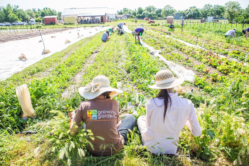 Community Gardens and Local Jobs