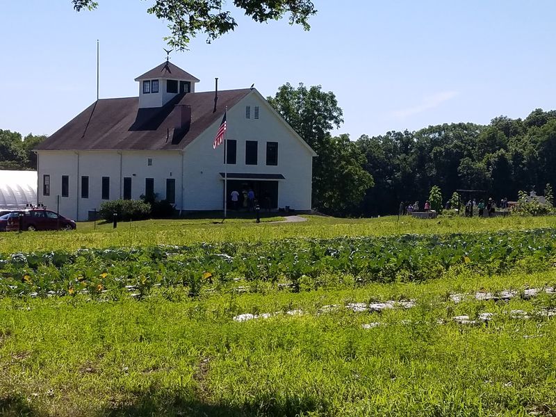 Community Harvest Project