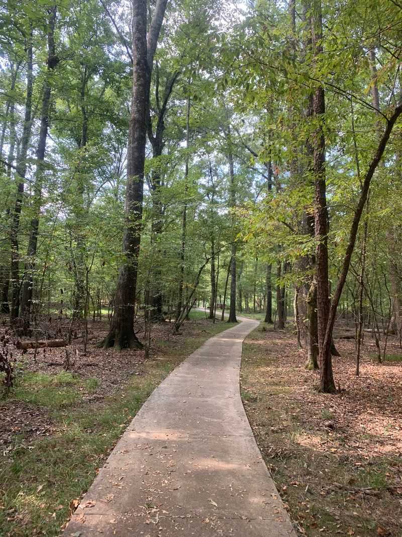 Concrete Underfoot, Forest All Around Concrete Underfoot, Forest All Around