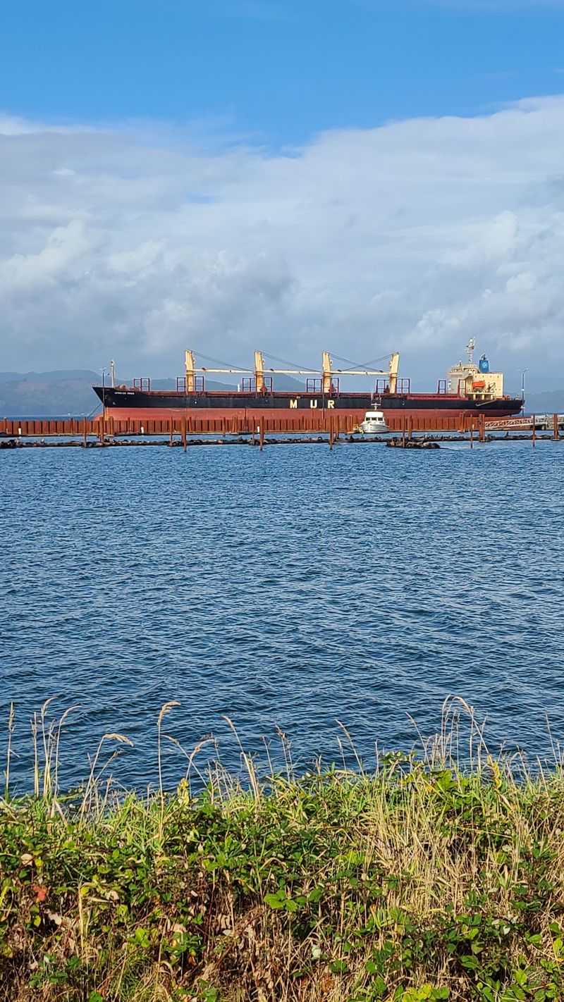 Container Ships Up Close