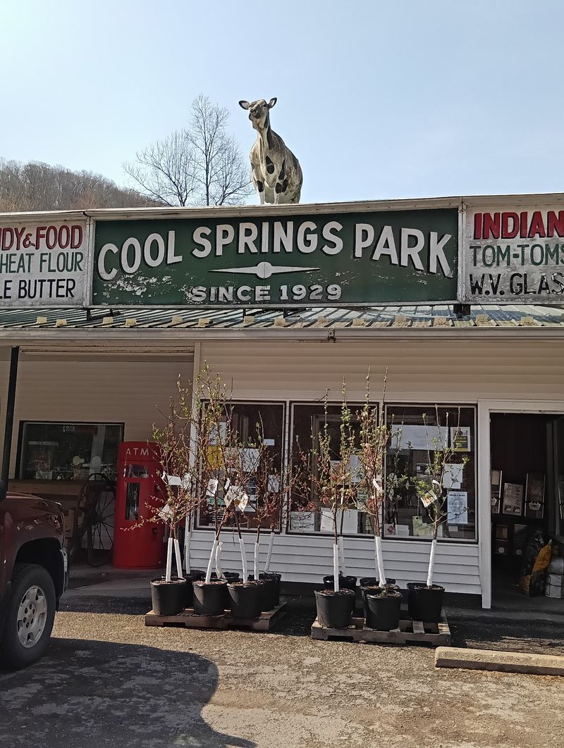 Cool Springs Park, Rowlesburg, West Virginia Cool Springs Park, Rowlesburg, West Virginia