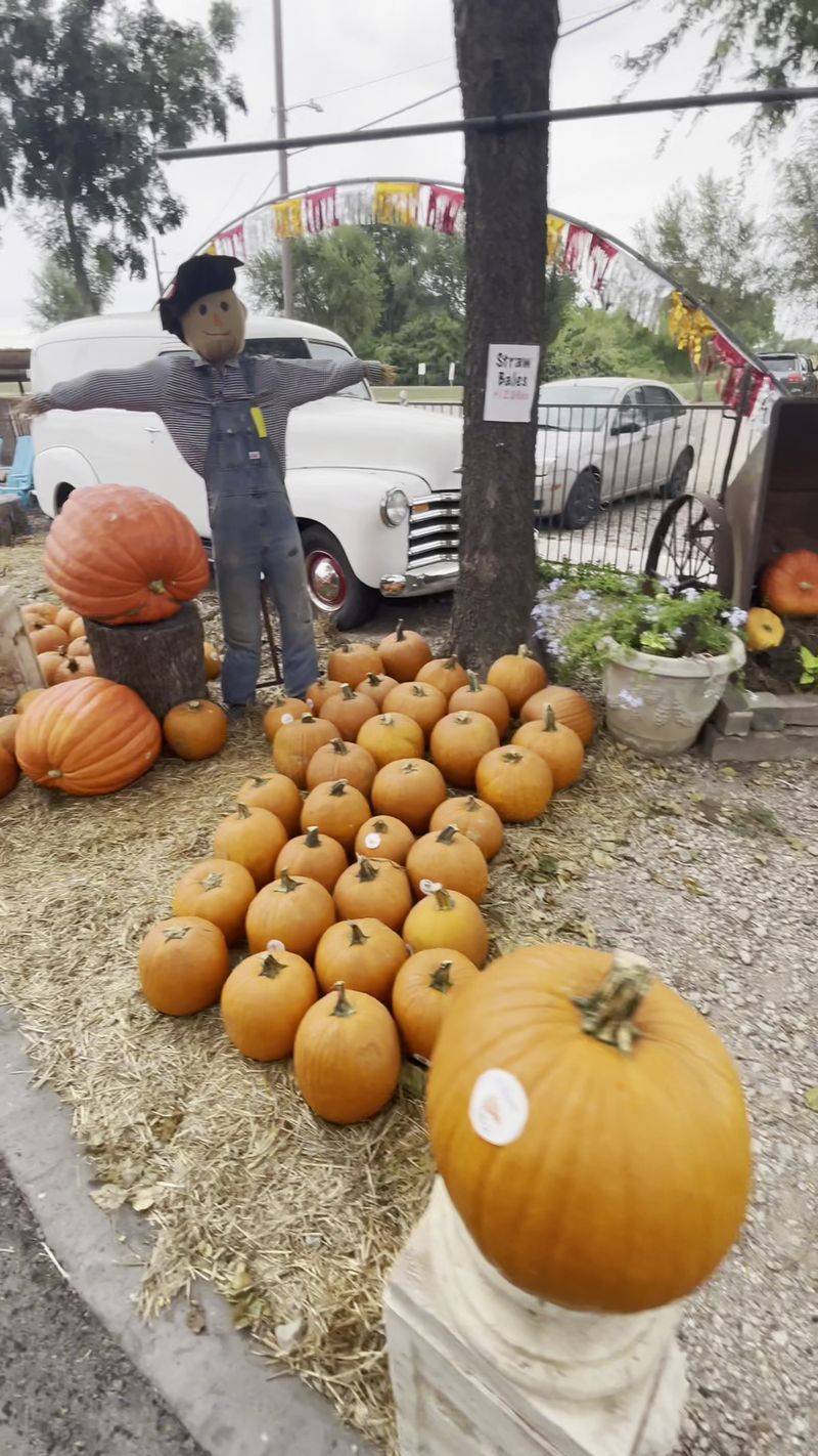 Corn Pit, Heart Pond and Fall Pumpkin Fun Corn Pit, Heart Pond and Fall Pumpkin Fun