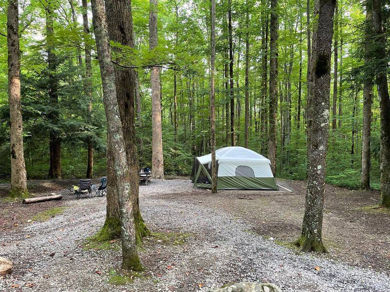 Cosby Campground, Cosby, TN Cosby Campground, Cosby, TN