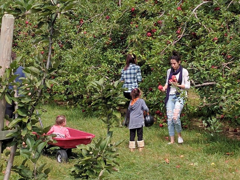 Coston Farm & Apple House, Hendersonville, NC
