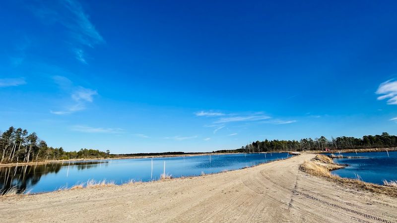 Cranberries Came First, and the Bogs Still Prove It Cranberries Came First, and the Bogs Still Prove It